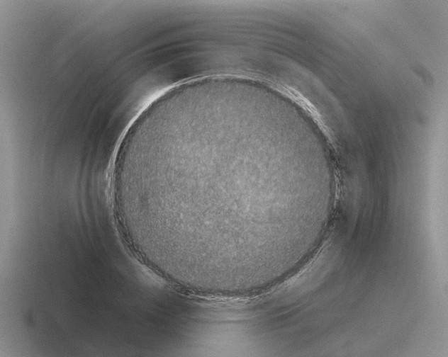 X0000116100836201001040950