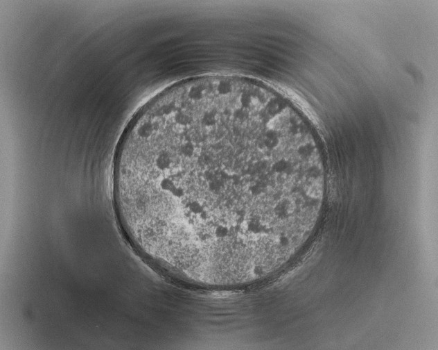 X0000116100839201001040950