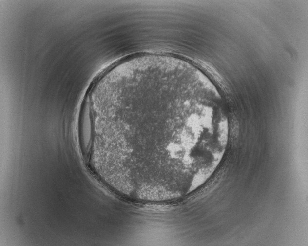 X0000116100840201001040950