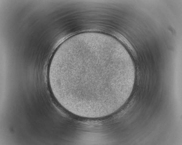 X0000116100842201001040950