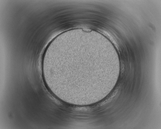 X0000116100843201001040950