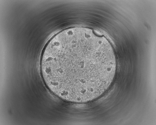 X0000116100845201001040950