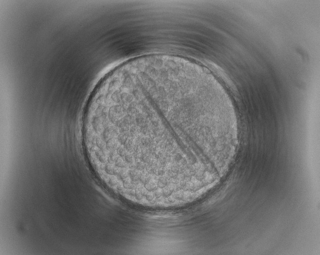 X0000116100846201001040950