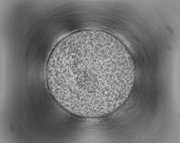 X0000116100848201001040950