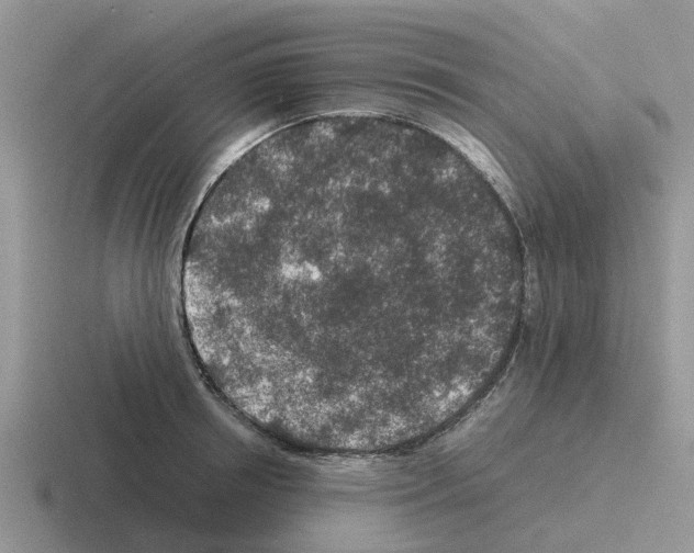 X0000116100850201001040950