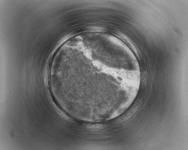 X0000116100851201001040950