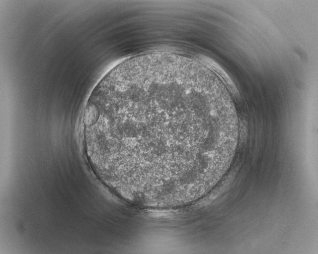 X0000116100852201001040950