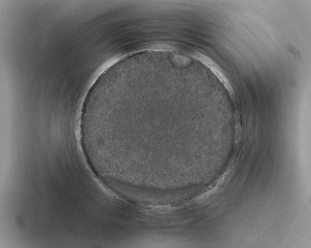 X0000116100853201001040950