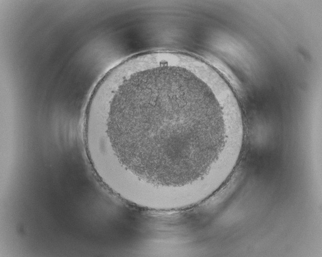 X0000116100856201001040950