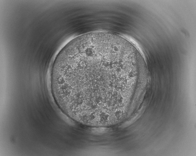 X0000116100859201001040950