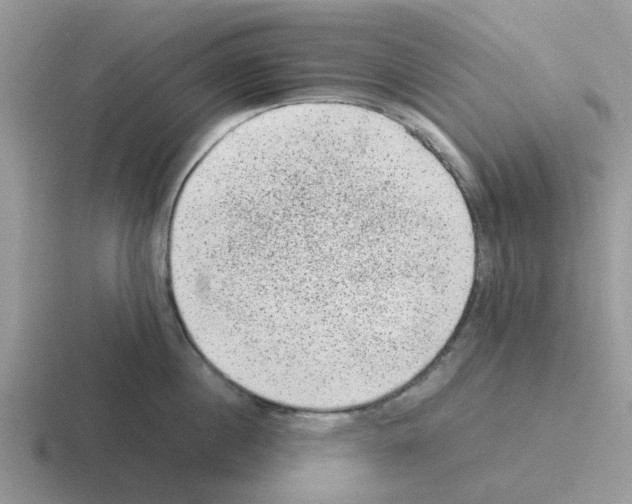 X0000116100860201001040950