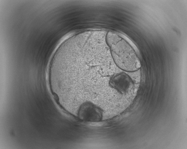 X0000116100861201001040950