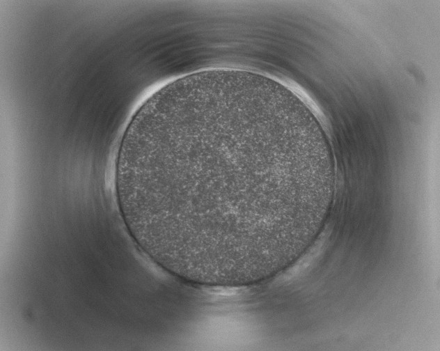 X0000116100862201001040950