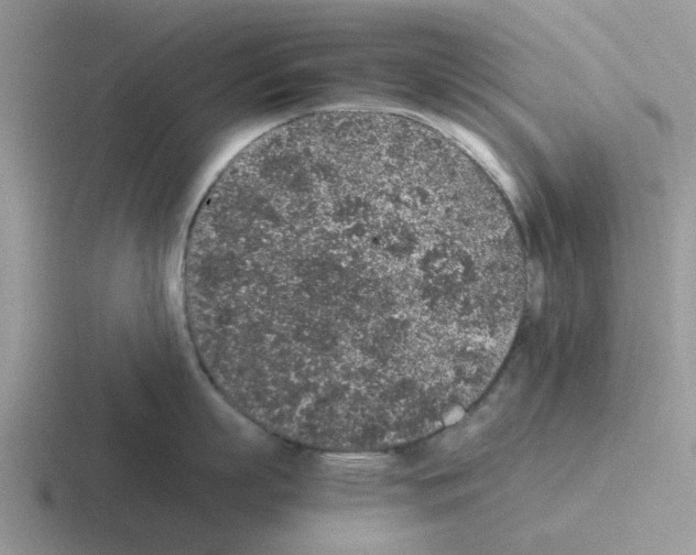 X0000116100863201001040950