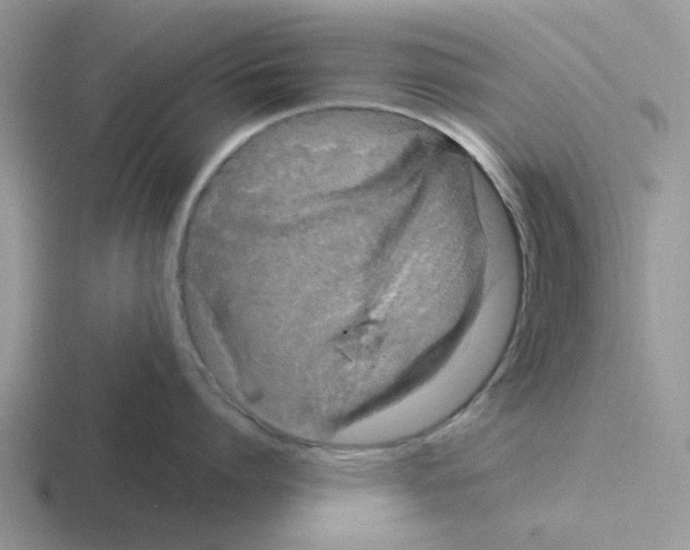 X0000116100864201001040950