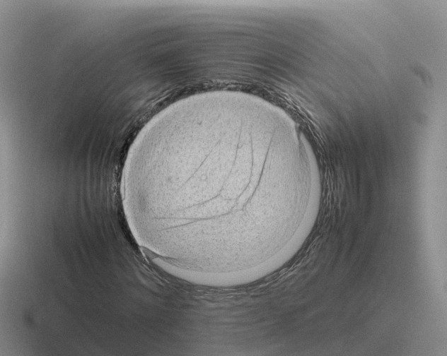 X0000116100868201001040950