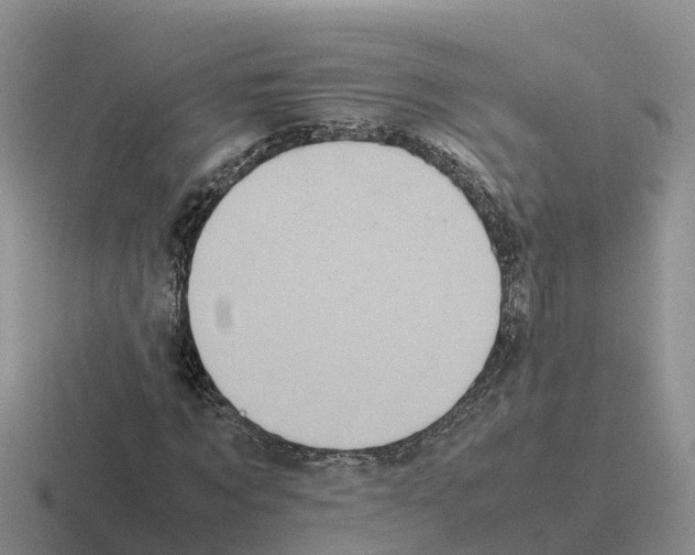 X0000116100869201001040950