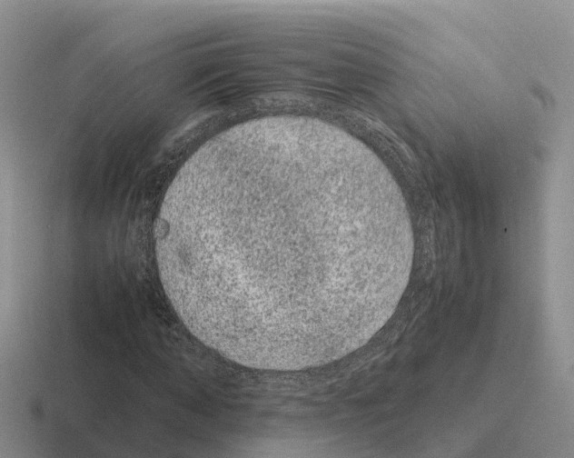 X0000116100870201001040950