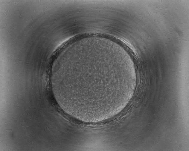 X0000116100872201001040950