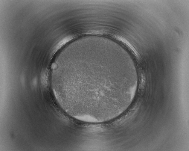 X0000116100874201001040950