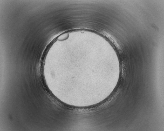 X0000116100876201001040950