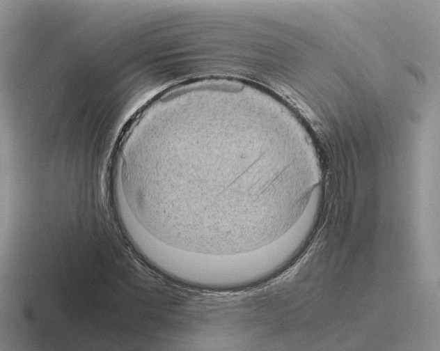 X0000116100877201001040950