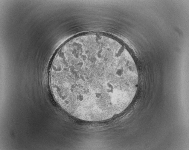 X0000116100879201001040950