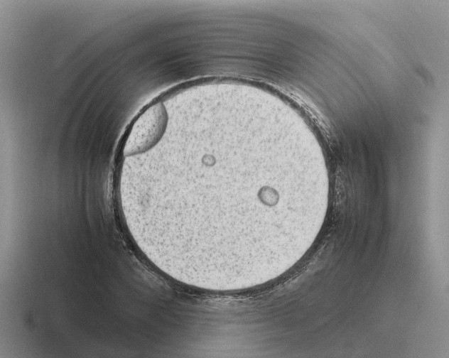 X0000116100880201001040950