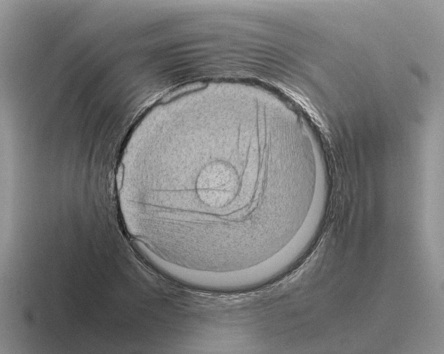 X0000116100881201001040950