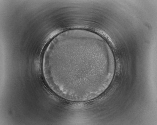 X0000116100882201001040950