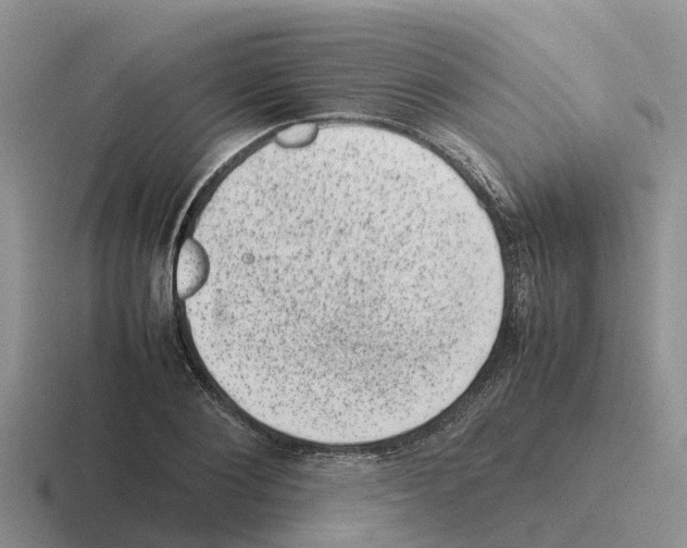 X0000116100884201001040950