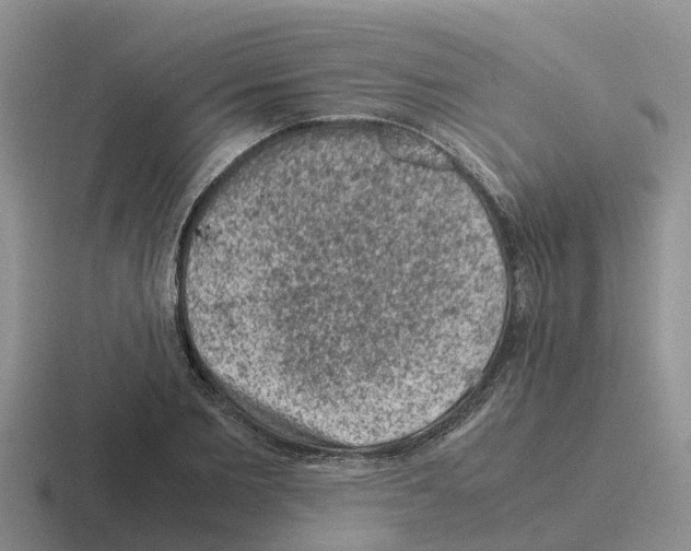 X0000116100885201001040950