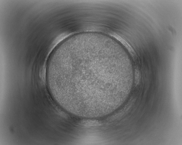 X0000116100886201001040949