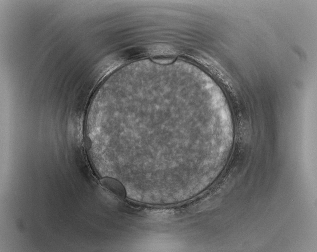 X0000116100889201001040949