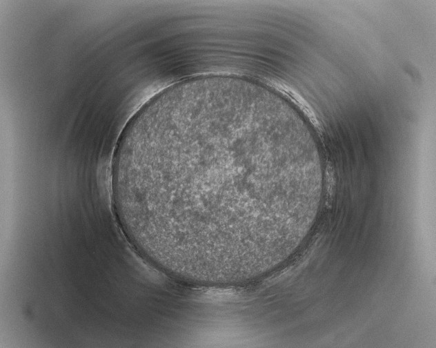 X0000116100890201001040949