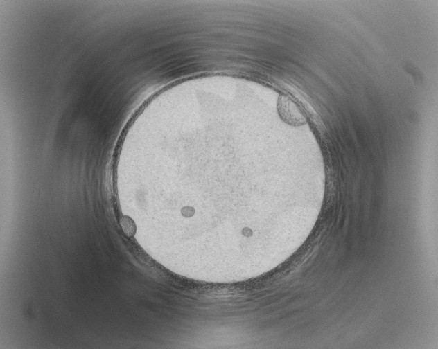 X0000116100891201001040949