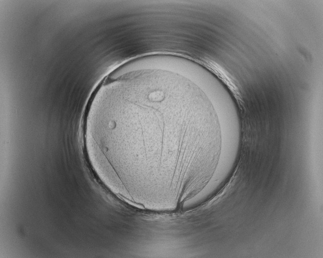 X0000116100892201001040949