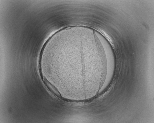 X0000116100893201001040949