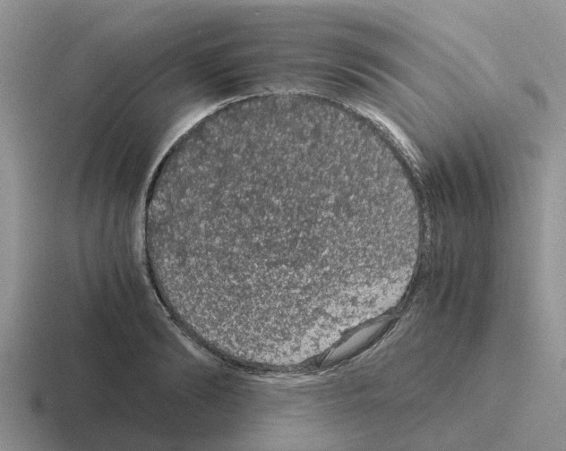 X0000116100894201001040949