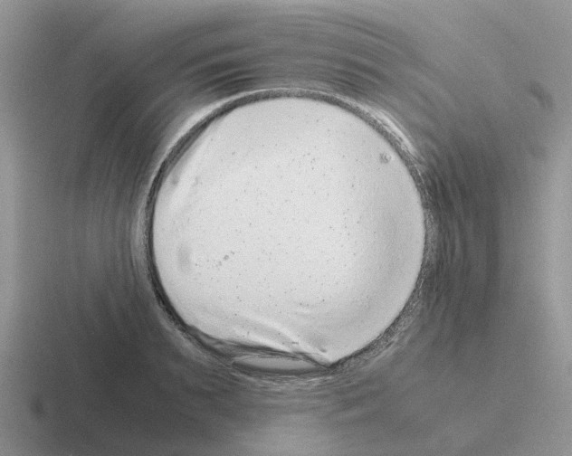 X0000116100895201001040949