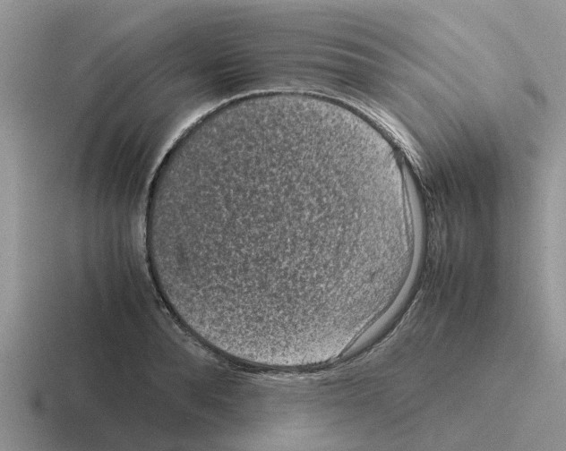 X0000116100896201001040949