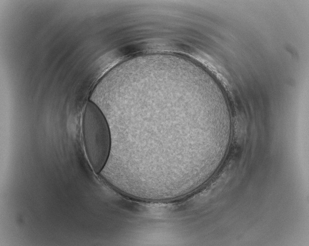 X0000116100897201001040949