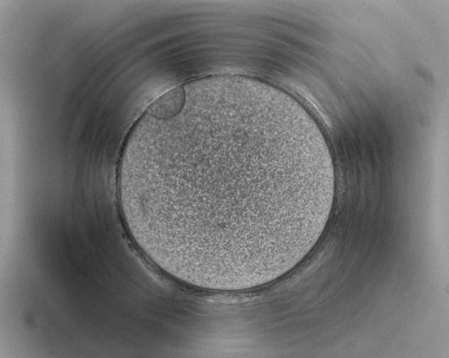 X0000116100898201001040949