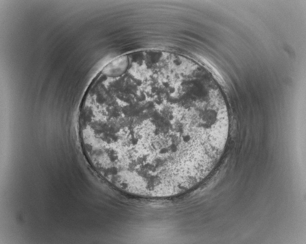 X0000116100899201001040949