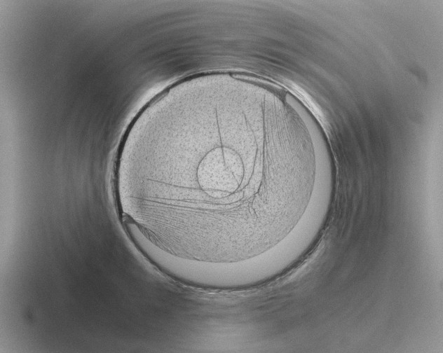 X0000116100901201001040949