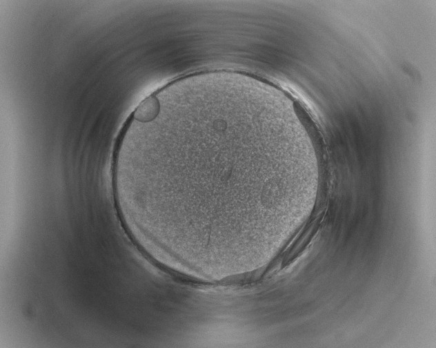 X0000116100902201001040949