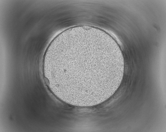 X0000116100903201001040949