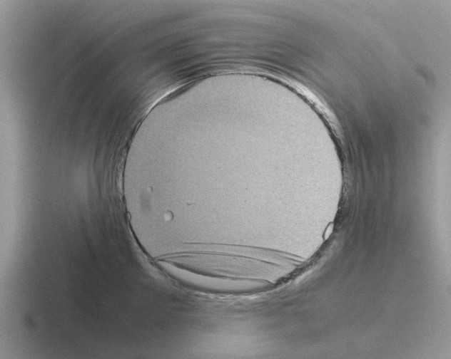 X0000116100905201001040949