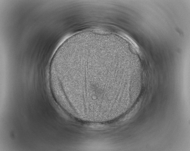 X0000116100907201001040949