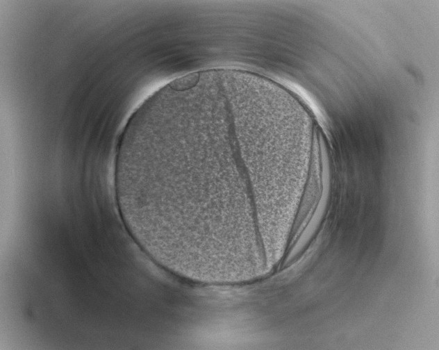 X0000116100910201001040949